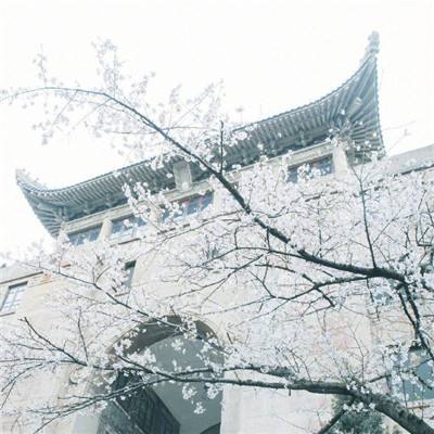 湖南省人民代表大会常务委员会决定任命名单